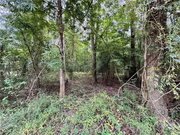 LOT 19 Pushepatappa Cut Off Rd, Bogalusa, LA 70427