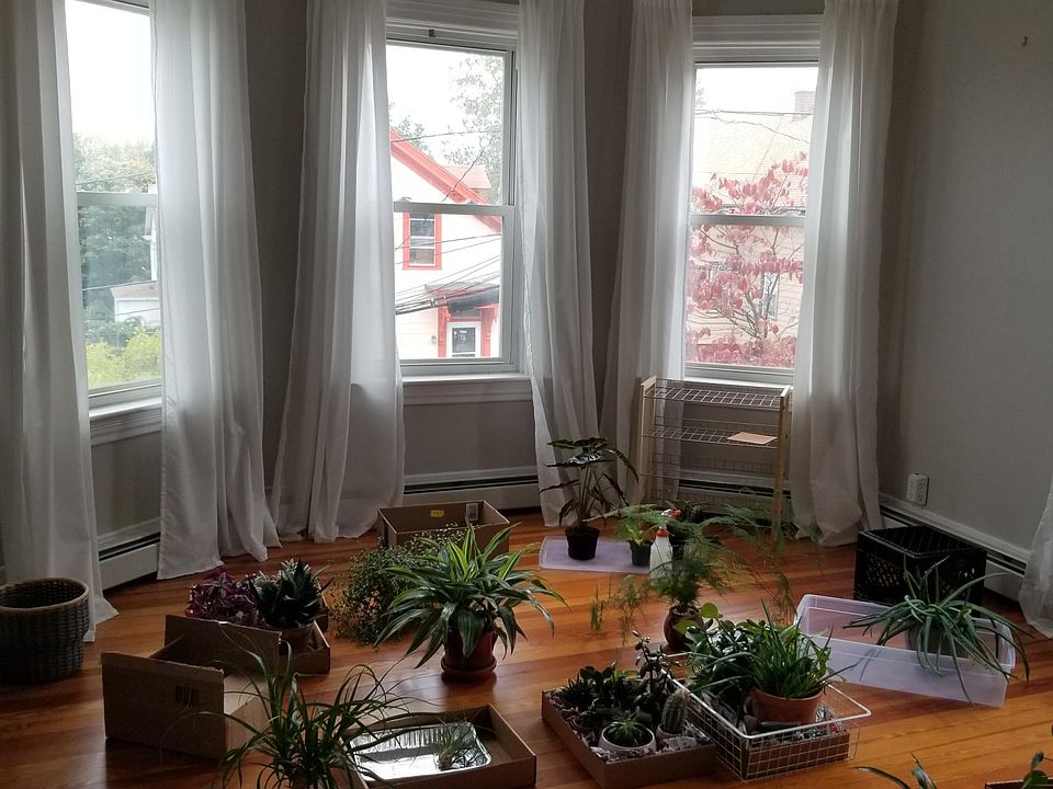 1st image of 57 Woodbine St Floor 2