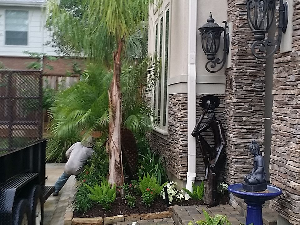 1st image of 603 Blue Iris Trl