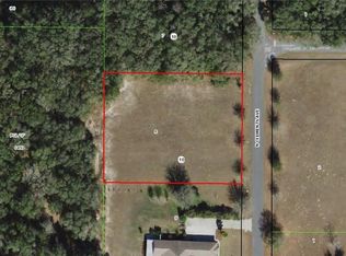 2964 N Clements Ave, Hernando, FL 34442