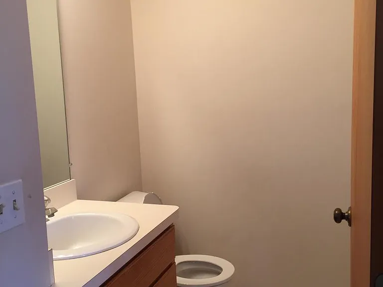 3217 Pinebluff Ct — Photo 23