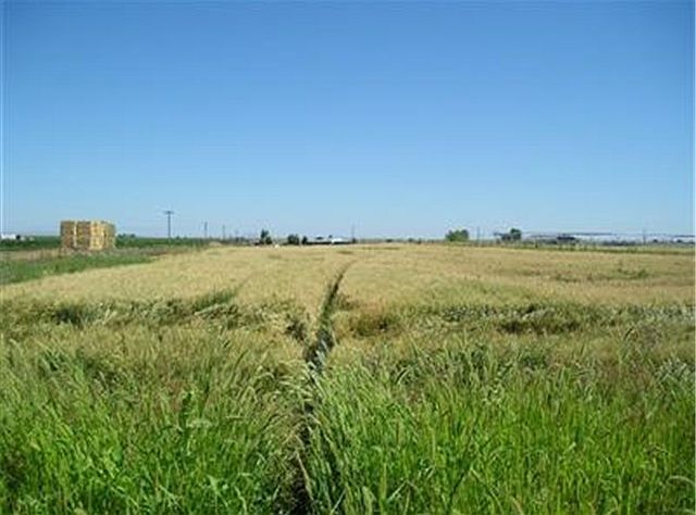 1st image of 2795 Road D NE