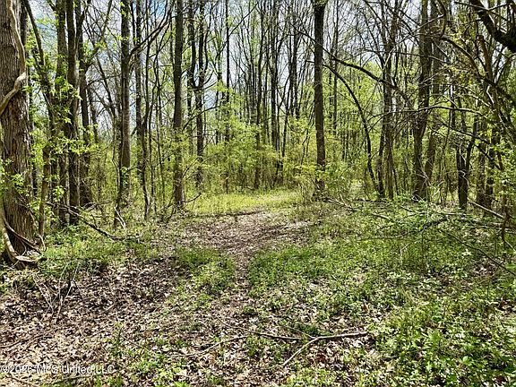2nd image of Duram Rd