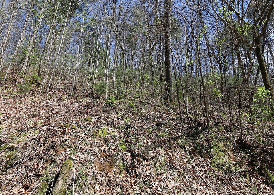 2nd image of 6 Cabin Creek Way #6