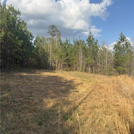 3rd image of 0 Loman Rd Lot 19