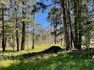 7105 W Freedline Dr, Flagstaff, AZ 86001