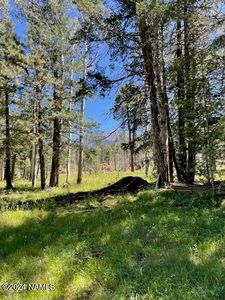 7105 W Freedline Dr, Flagstaff, AZ, 86001