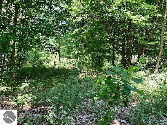 5th image of 11371 E Brigadoon Ln