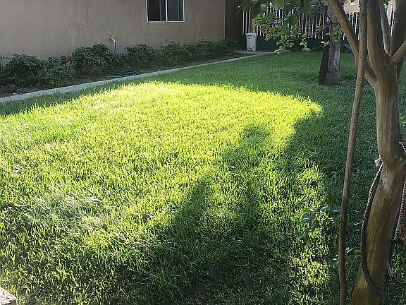 5th image of 22213 Burbank Blvd