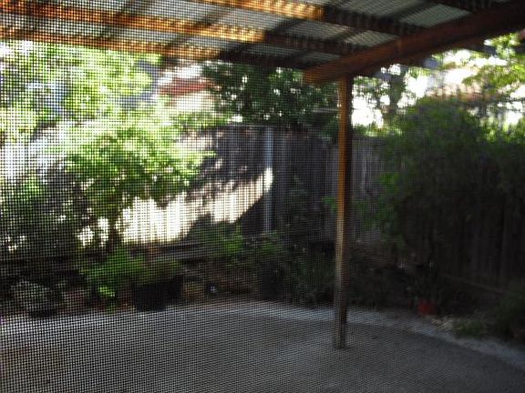 backyard with patio. trees and flowers and a small lawn