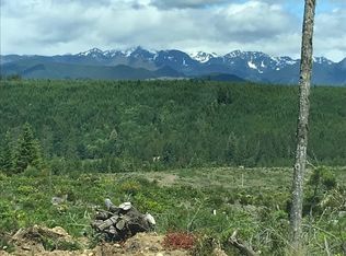 NE Dewatto Hills Rd, Tahuya, WA 98588