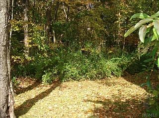 3rd image of 205 Laurel Dr