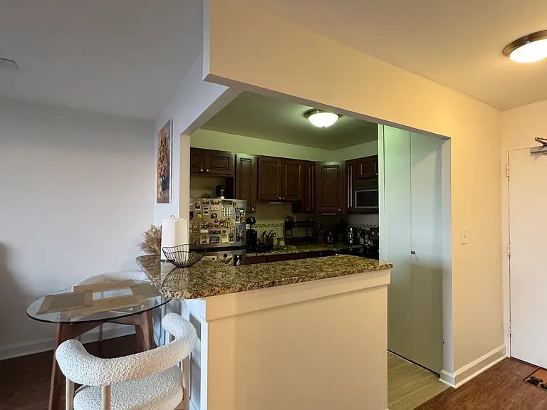 1455 N Sandburg Ter #1207 — Photo 9