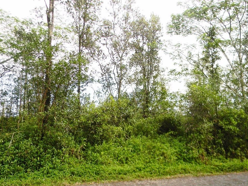 1st image of 37th Ave Lot 64