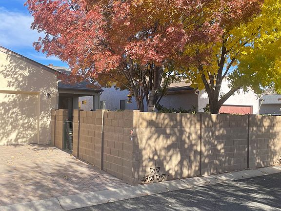 Rear view of mature tall trees that shade putting green, patio and help keep house cool