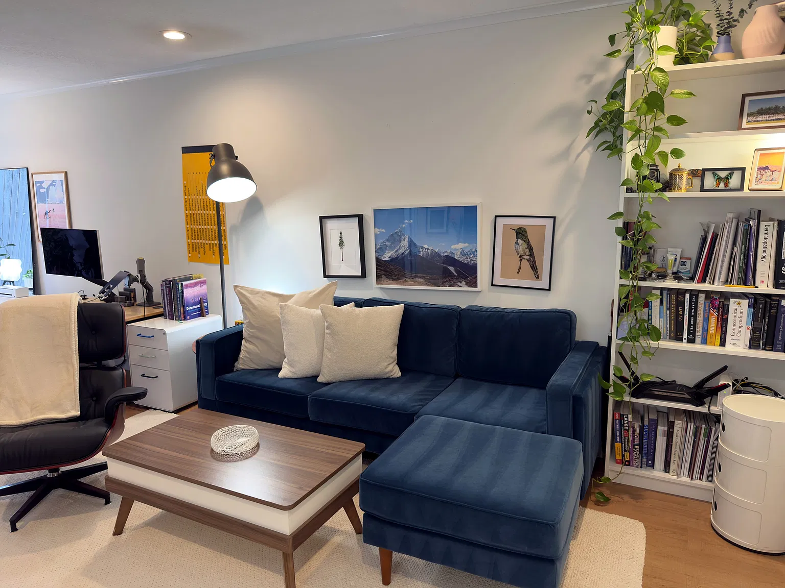 2 bed, 735 sqft, $1,650 — Photo 1