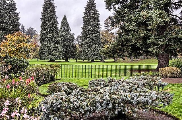 Golf Course View from back patio