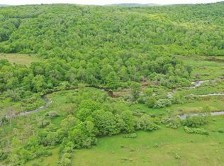 640 Nanticoke Rd LOT WP001, Maine, NY 13802