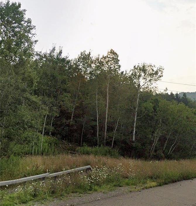2nd image of East Ave Lot 85