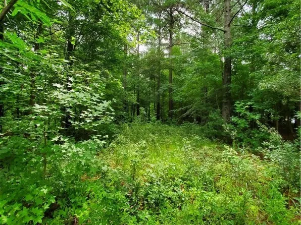 15379 Dillard Rd #4, Stony Creek, VA 23882