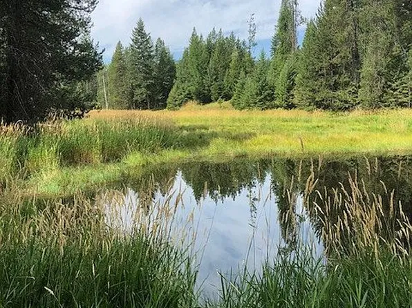 13 Little Bear Rd, Trout Creek, MT 59874