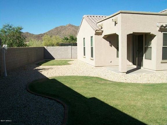 Grassy Backyard