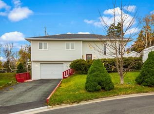 19 Webster Pl, Conception Bay South, NL A1W5M7