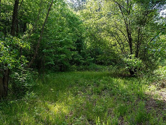 Dsc00527