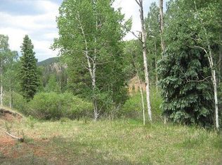 391 Willow Rd, Divide, CO 80814
