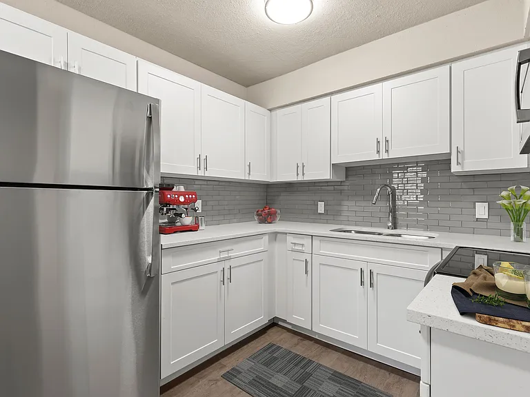 Glass Backsplash and Gooseneck Faucet with Spray Nozzle
