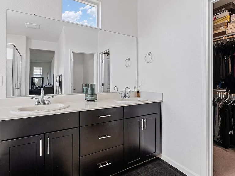 Master Bath and Walk-in closet