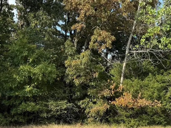 LOT 35 Brownwood Ct, Poplar Bluff, MO 63901