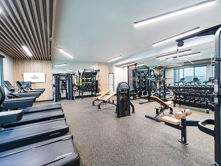 A spacious fitness center featuring strength and cardio equipment, mirrored walls, and natural light for a bright, energizing atmosphere.