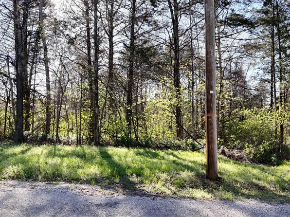 Lot #31 Farm Road 1260, Shell Knob, MO 65747