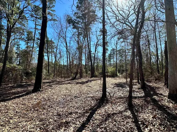 Tbd Groundhog Rd, Gilmer, TX 75644