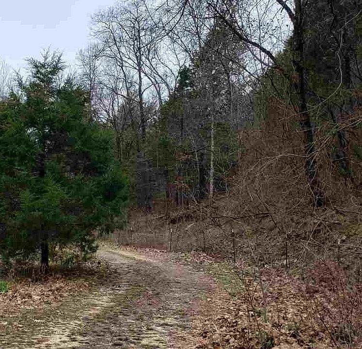 955 Highway 220, Cedar Grove, TN 38321 Zillow