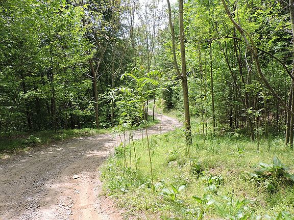 2nd image of New Mountain High Pkwy