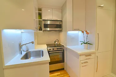 Sold by Carol E Levy