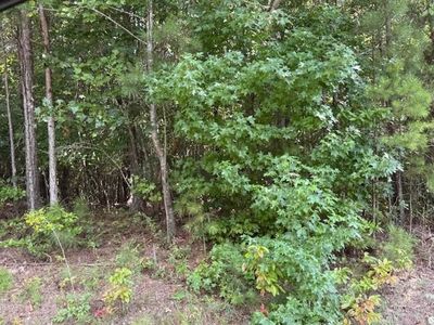 Tk 9 Old Ridgeway Rd #9, Bremen, GA, 30110