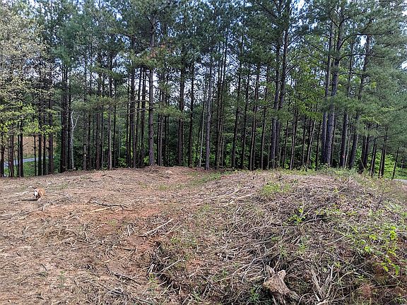 4th image of 242 E Hawksbill Ln NW