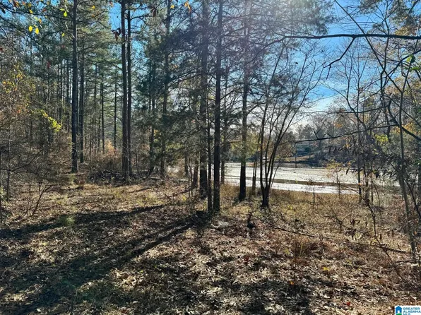 County Road 265 #0, Wedowee, AL 36278