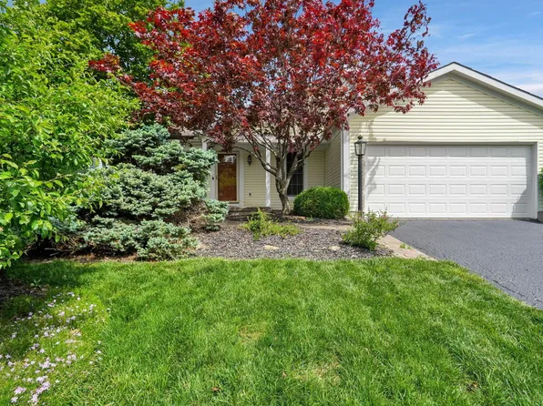 7784 Leaview Dr, Columbus, OH 43235