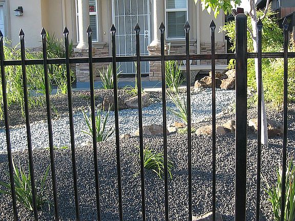 Iron Fence w/Gate
