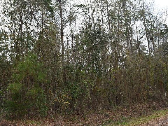 2nd image of 140 Elderberry Rd