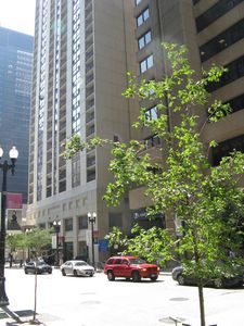 200 N Dearborn St Unit 4106, Chicago, IL, 60601