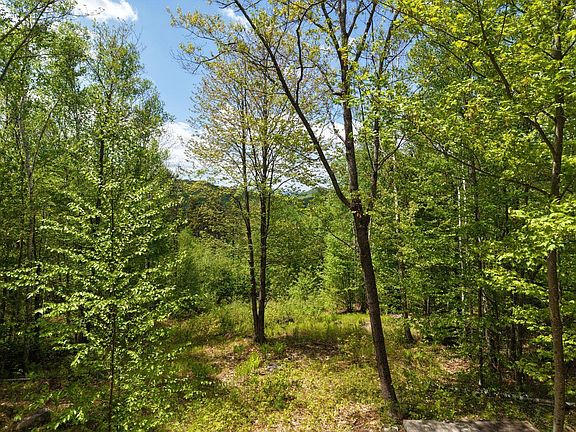 2nd image of 21 Jewett Way
