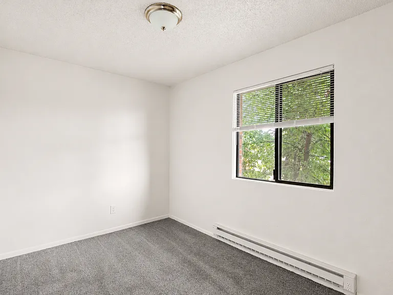 Plum Tree Apartments - 1 & 2 BEDROOMS — Photo 13