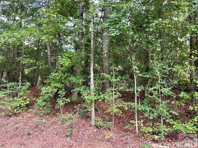 0 Lexington Carlton Road, Carlton, GA, 30627