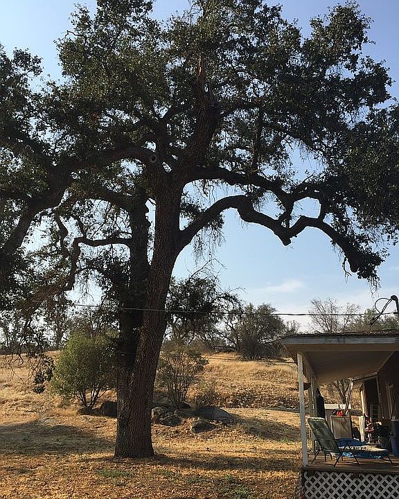 2nd image of 21698 Tollhouse Rd