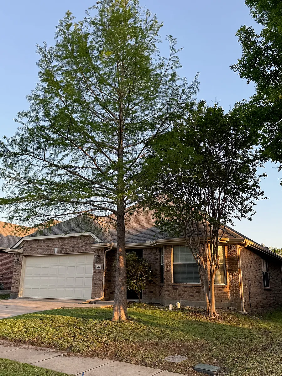 Front - 212 Bird Creek Dr